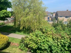 Photo 3- click for photo gallery